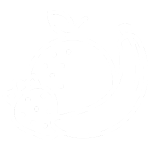 iconwhite (1) iconwhite (1)